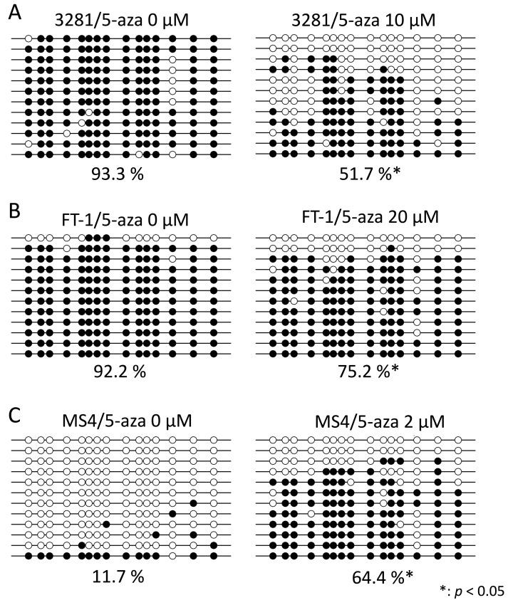 https://cdn.ncbi.nlm.nih.gov/pmc/blobs/3554/5573821/84bc4e3a0e7f/jvms-79-1352-g004.jpg