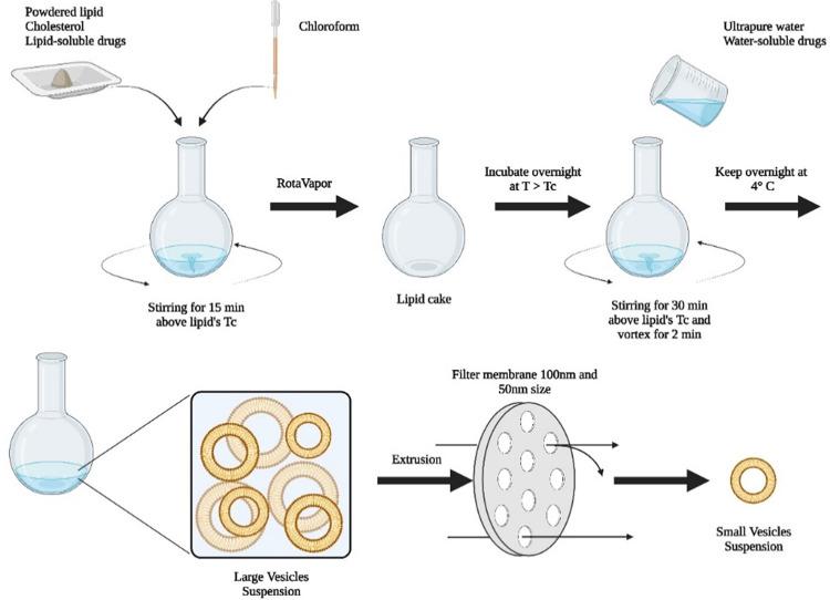 https://cdn.ncbi.nlm.nih.gov/pmc/blobs/3555/11003666/394d00d831f9/pone.0300467.g002.jpg