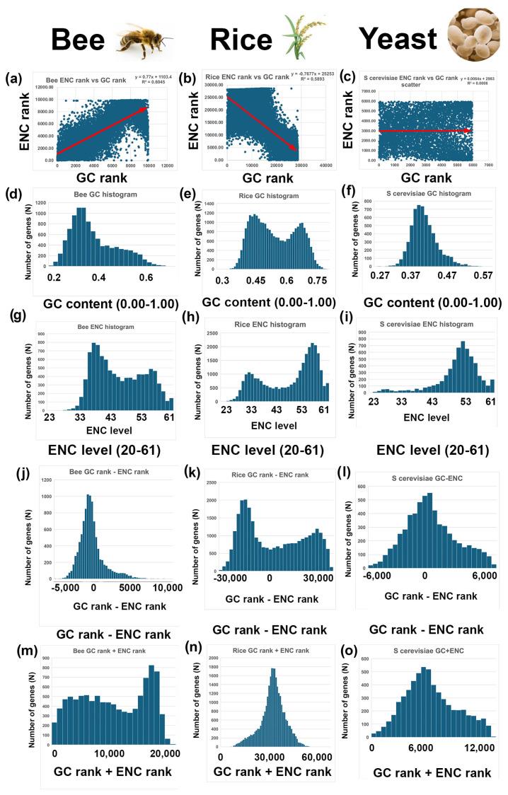 https://cdn.ncbi.nlm.nih.gov/pmc/blobs/3557/12026676/30c66470d891/genes-16-00432-g002.jpg