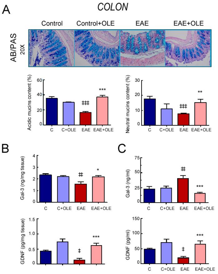 https://cdn.ncbi.nlm.nih.gov/pmc/blobs/3558/10003427/28e7d6c9ab77/ijms-24-04977-g003.jpg