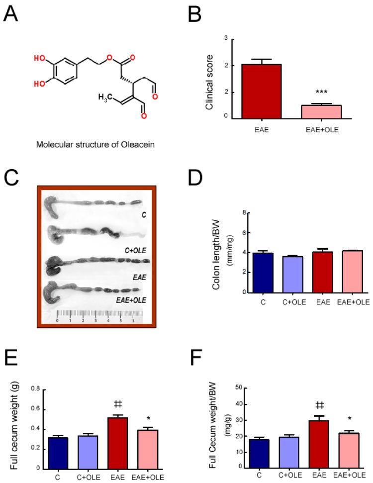 https://cdn.ncbi.nlm.nih.gov/pmc/blobs/3558/10003427/56574d67c7db/ijms-24-04977-g001.jpg
