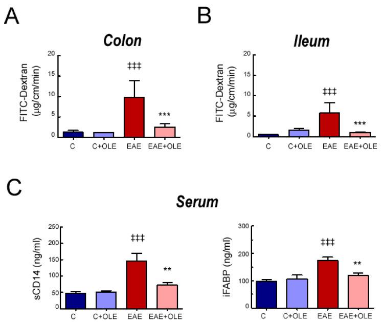 https://cdn.ncbi.nlm.nih.gov/pmc/blobs/3558/10003427/7343d0eb9595/ijms-24-04977-g002.jpg