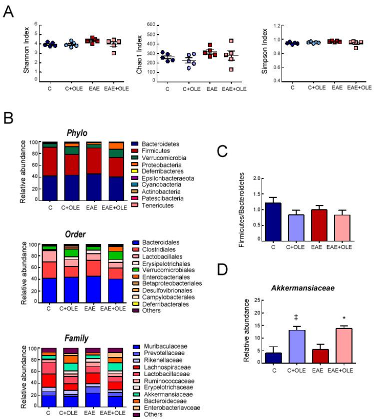 https://cdn.ncbi.nlm.nih.gov/pmc/blobs/3558/10003427/74729bb6aae7/ijms-24-04977-g006.jpg