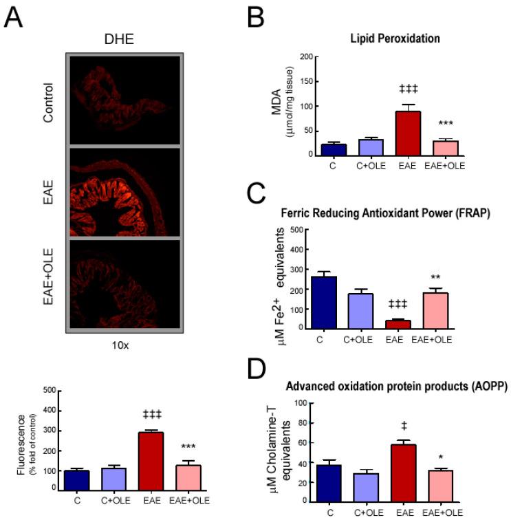https://cdn.ncbi.nlm.nih.gov/pmc/blobs/3558/10003427/b906d89d2372/ijms-24-04977-g005.jpg