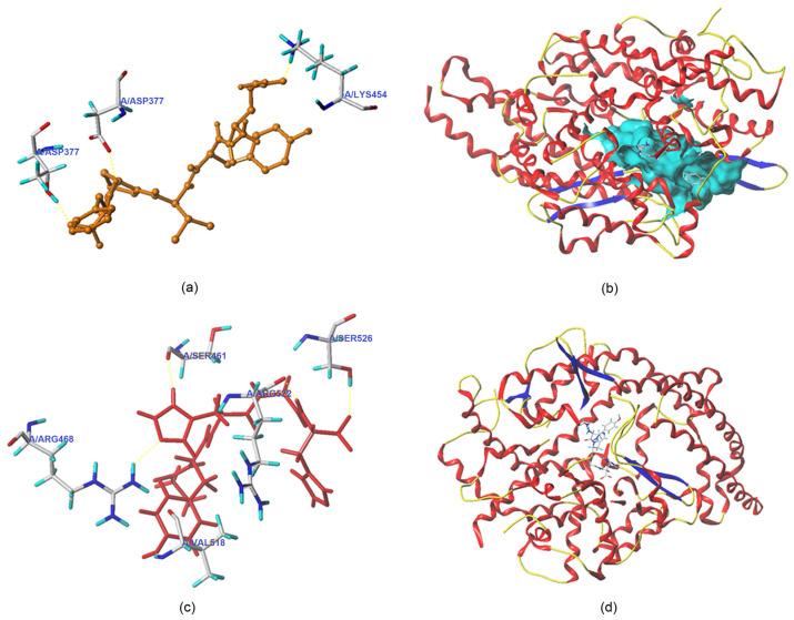 https://cdn.ncbi.nlm.nih.gov/pmc/blobs/3558/10252509/099f77be42ed/foods-12-02268-g005.jpg