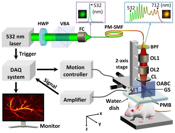 https://cdn.ncbi.nlm.nih.gov/pmc/blobs/355b/9775951/31b03baf6248/biosensors-12-01154-g008.jpg