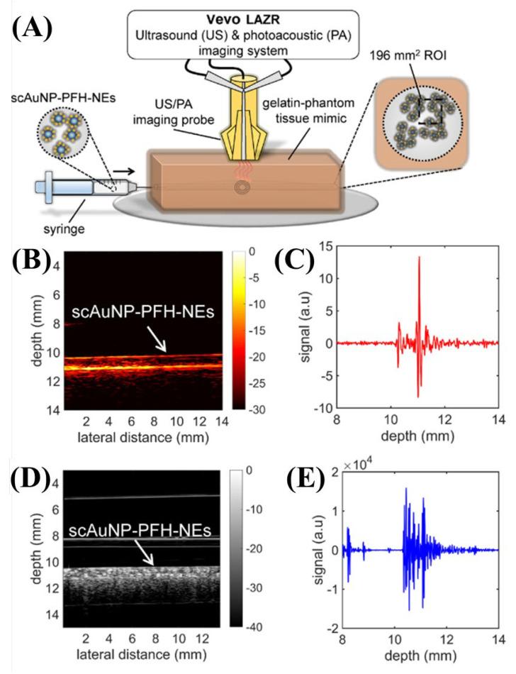 https://cdn.ncbi.nlm.nih.gov/pmc/blobs/355b/9775951/3c2679542cdd/biosensors-12-01154-g007.jpg