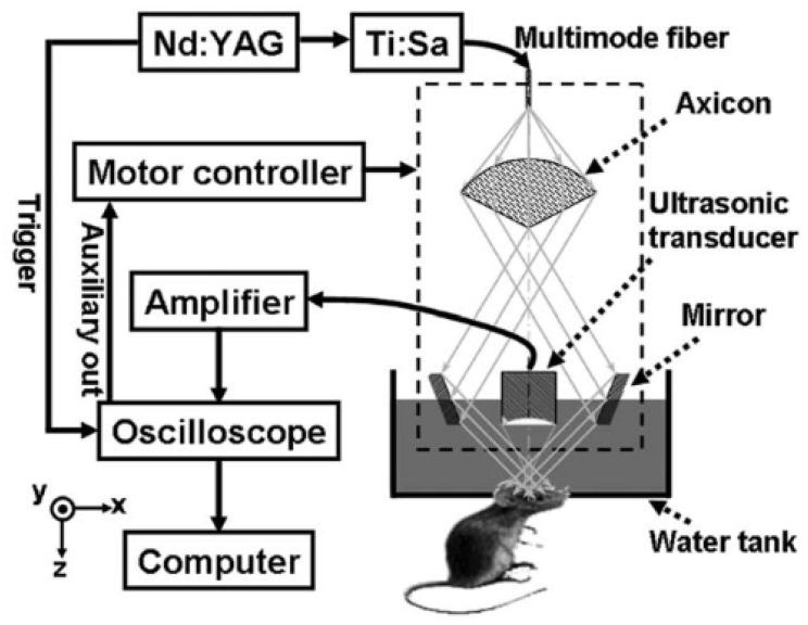 https://cdn.ncbi.nlm.nih.gov/pmc/blobs/355b/9775951/55064bf033c9/biosensors-12-01154-g011.jpg