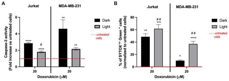 https://cdn.ncbi.nlm.nih.gov/pmc/blobs/355b/9913797/6ec38a271897/cells-12-00392-g006.jpg
