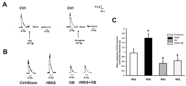 https://cdn.ncbi.nlm.nih.gov/pmc/blobs/355f/10139220/5580bc362c9e/ijms-24-07440-g002.jpg