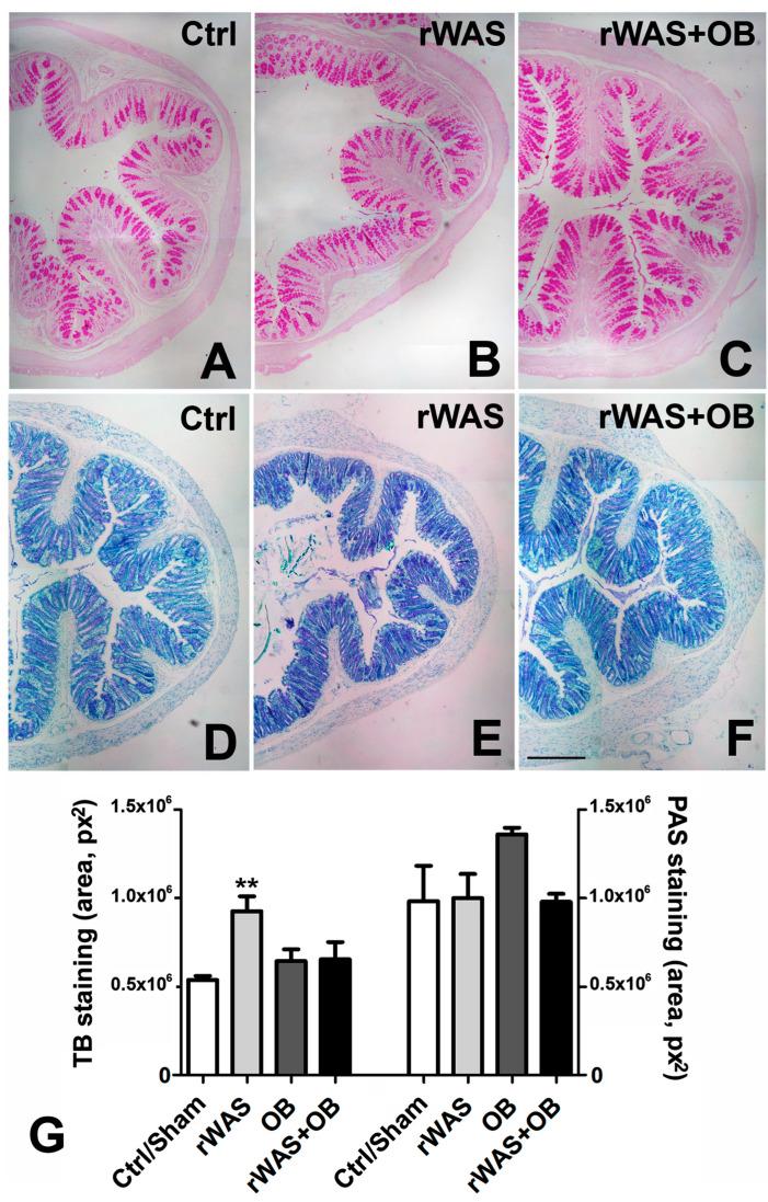 https://cdn.ncbi.nlm.nih.gov/pmc/blobs/355f/10139220/5c6c198a95fb/ijms-24-07440-g001.jpg