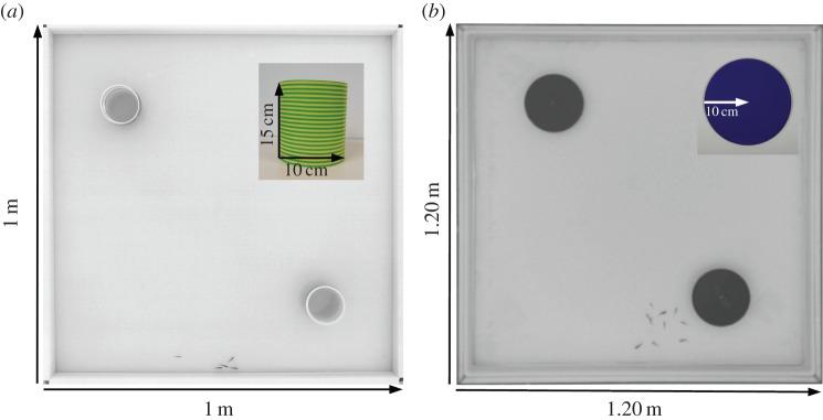 https://cdn.ncbi.nlm.nih.gov/pmc/blobs/3560/5098983/8b26e3878006/rsos160451-g10.jpg