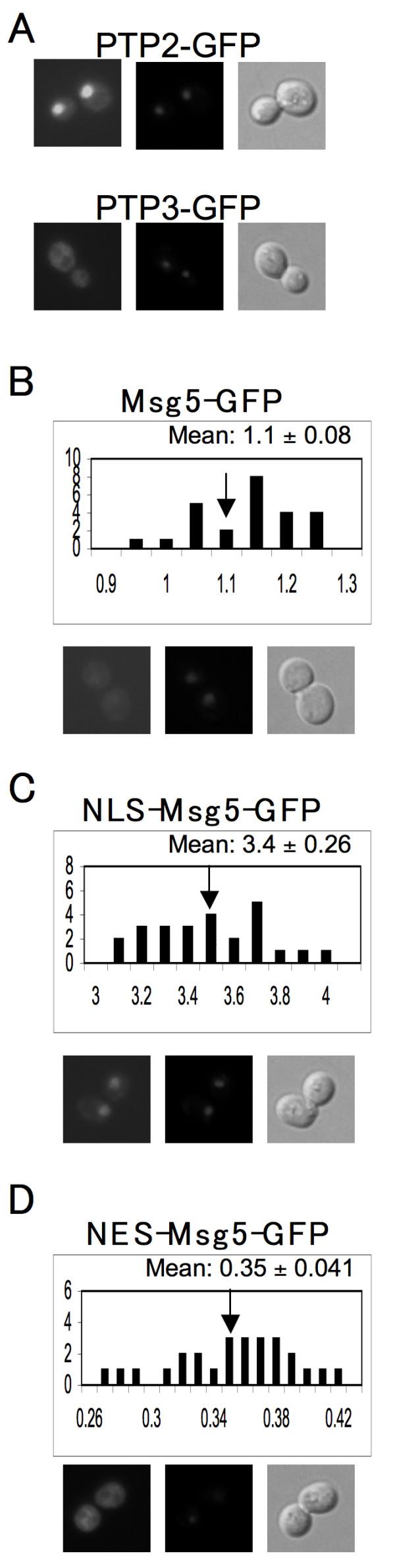 https://cdn.ncbi.nlm.nih.gov/pmc/blobs/3561/2219999/f71766554683/1471-2121-8-44-3.jpg
