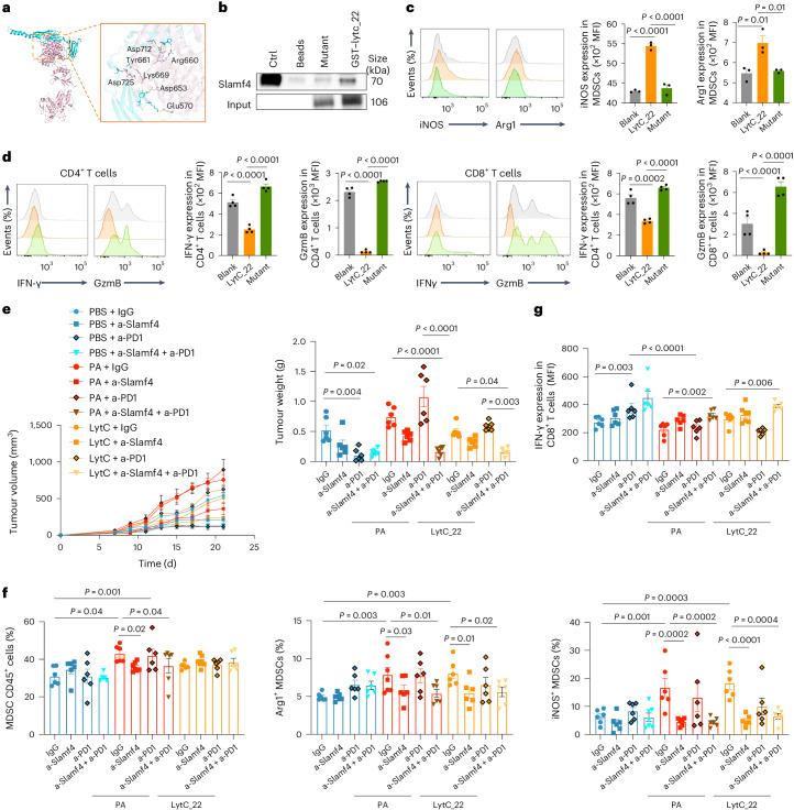 https://cdn.ncbi.nlm.nih.gov/pmc/blobs/3562/11153135/146f2f4723bc/41564_2024_1695_Fig6_HTML.jpg