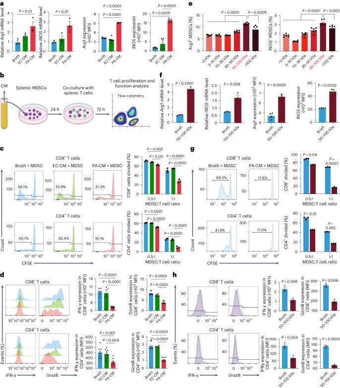https://cdn.ncbi.nlm.nih.gov/pmc/blobs/3562/11153135/57fd6146bdfc/41564_2024_1695_Fig3_HTML.jpg