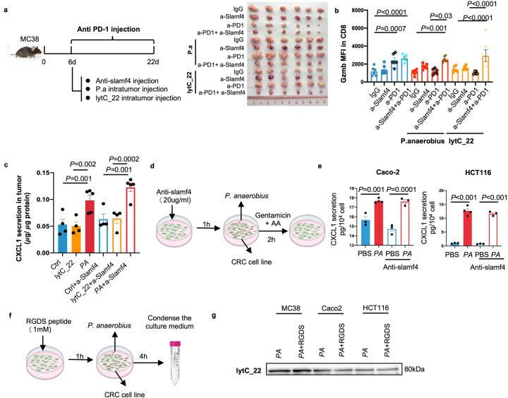 https://cdn.ncbi.nlm.nih.gov/pmc/blobs/3562/11153135/5ca29463046e/41564_2024_1695_Fig14_ESM.jpg
