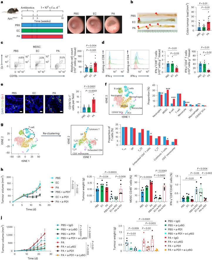 https://cdn.ncbi.nlm.nih.gov/pmc/blobs/3562/11153135/89e4b16bbb9a/41564_2024_1695_Fig1_HTML.jpg