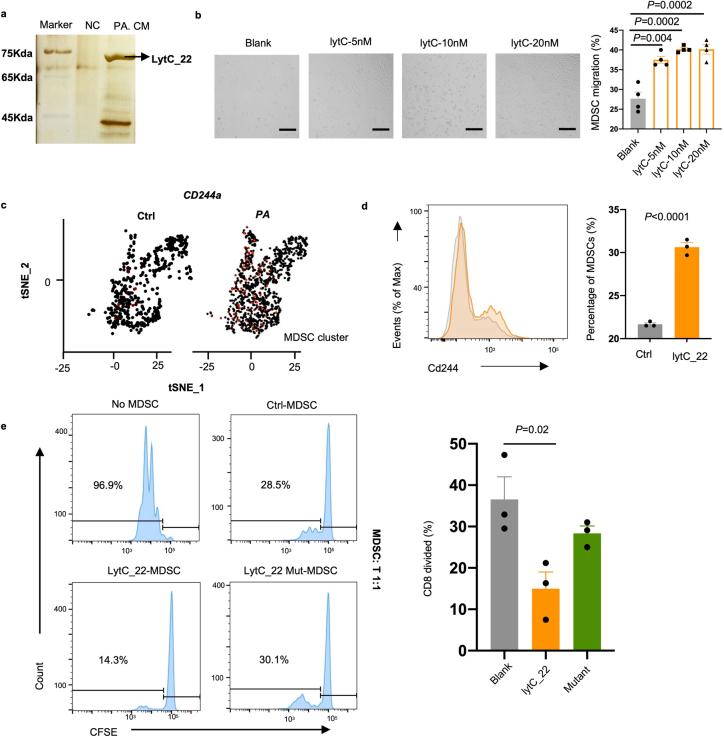 https://cdn.ncbi.nlm.nih.gov/pmc/blobs/3562/11153135/bd570de96dad/41564_2024_1695_Fig13_ESM.jpg