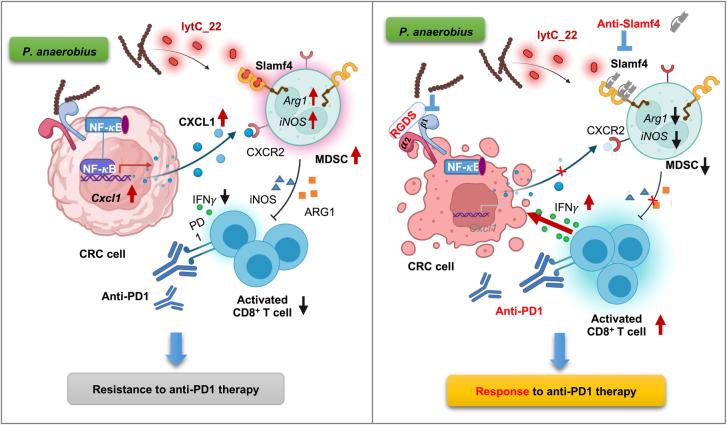 https://cdn.ncbi.nlm.nih.gov/pmc/blobs/3562/11153135/c7cf75cd8580/41564_2024_1695_Fig15_ESM.jpg