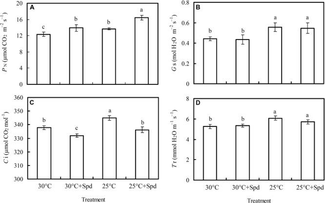 https://cdn.ncbi.nlm.nih.gov/pmc/blobs/3563/4803742/faaf103c2213/fpls-07-00368-g002.jpg