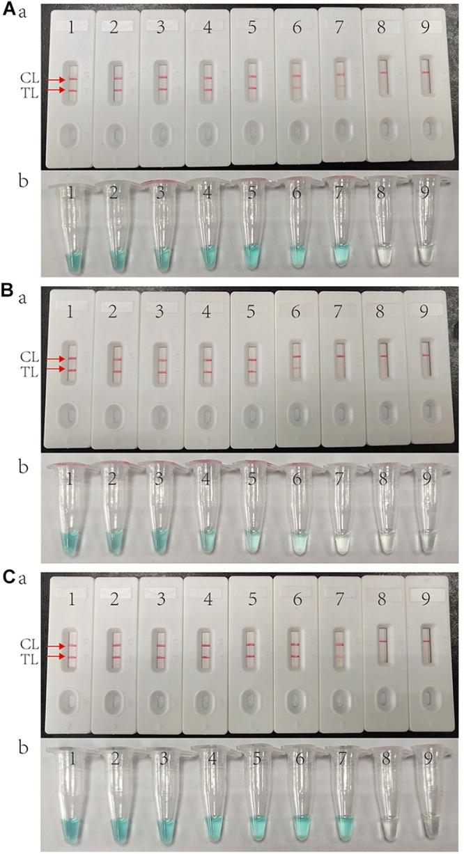 https://cdn.ncbi.nlm.nih.gov/pmc/blobs/3564/6753184/62135473b9df/fmicb-10-02135-g003.jpg