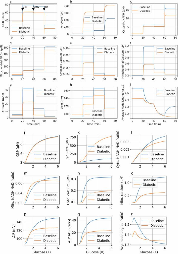 https://cdn.ncbi.nlm.nih.gov/pmc/blobs/3566/11455970/2eff8268c2ac/42003_2024_6955_Fig8_HTML.jpg