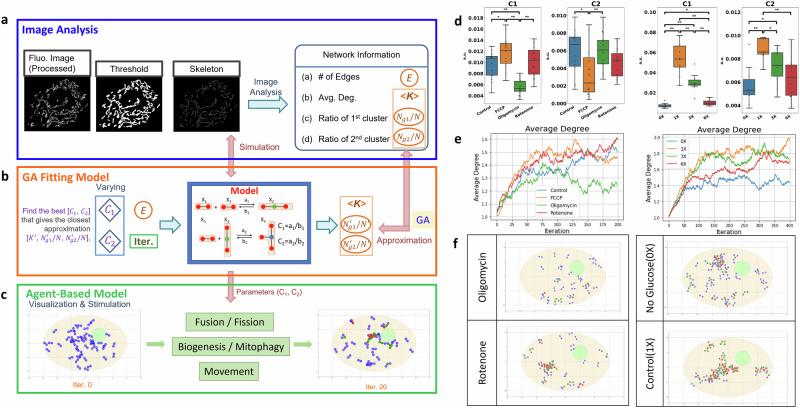 https://cdn.ncbi.nlm.nih.gov/pmc/blobs/3566/11455970/5a6188976d3a/42003_2024_6955_Fig10_HTML.jpg