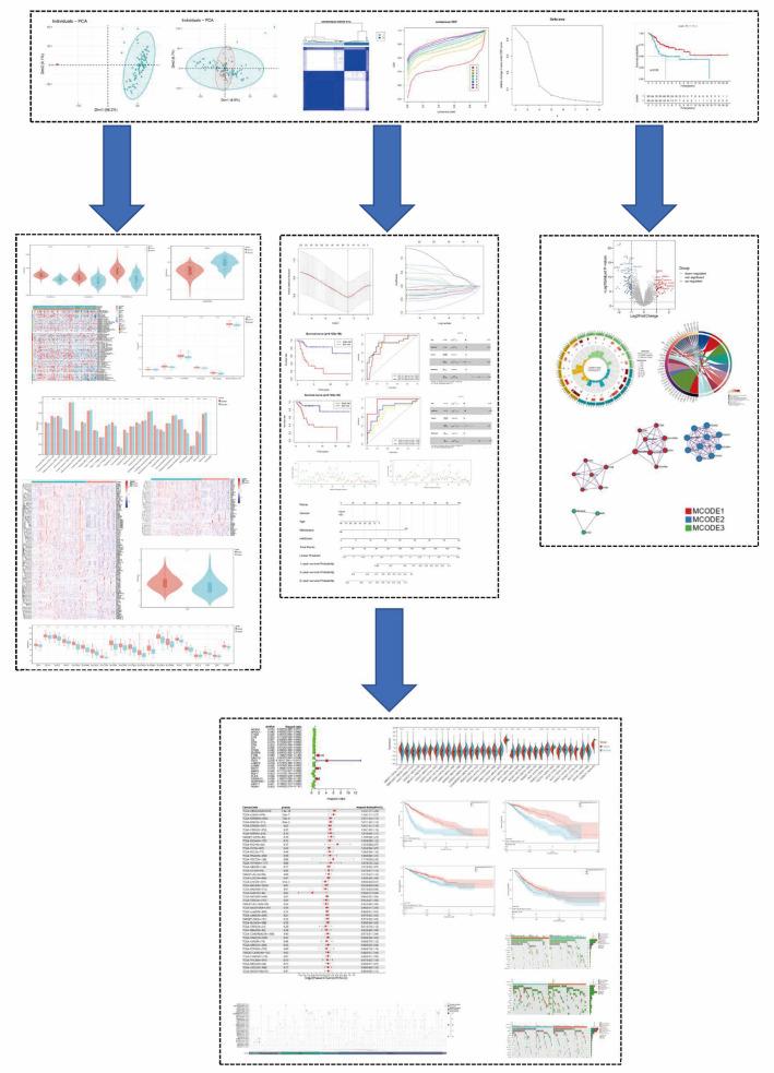 https://cdn.ncbi.nlm.nih.gov/pmc/blobs/3566/12314180/1c1f4c751a00/12672_2025_3214_Fig4_HTML.jpg