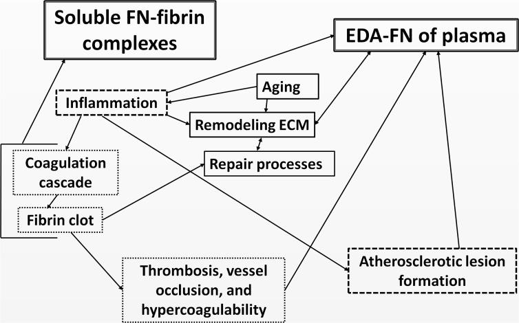 https://cdn.ncbi.nlm.nih.gov/pmc/blobs/3567/4883272/00911e417855/10753_2016_336_Fig5_HTML.jpg