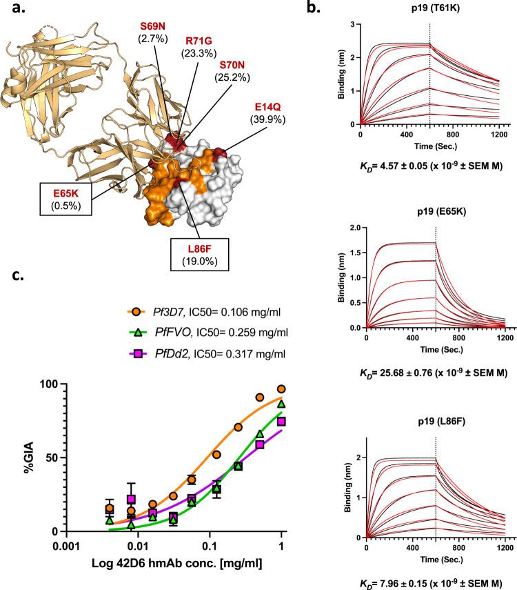 https://cdn.ncbi.nlm.nih.gov/pmc/blobs/3567/9537153/84ab4cad17e5/41467_2022_33336_Fig3_HTML.jpg
