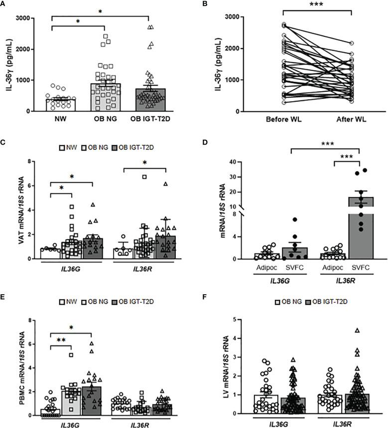 https://cdn.ncbi.nlm.nih.gov/pmc/blobs/3569/8863603/6281b2a245c1/fimmu-13-832185-g001.jpg