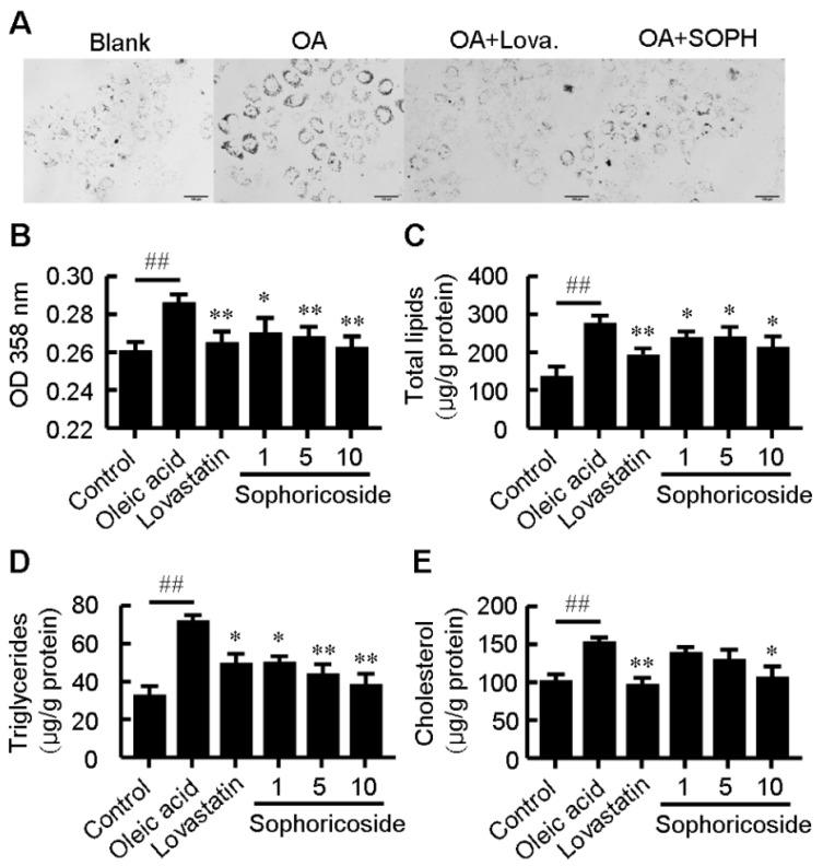 https://cdn.ncbi.nlm.nih.gov/pmc/blobs/356a/6270613/0b4c285c672e/molecules-18-15624-g001.jpg