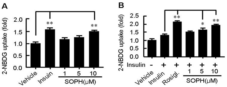 https://cdn.ncbi.nlm.nih.gov/pmc/blobs/356a/6270613/d30585da24b3/molecules-18-15624-g005.jpg