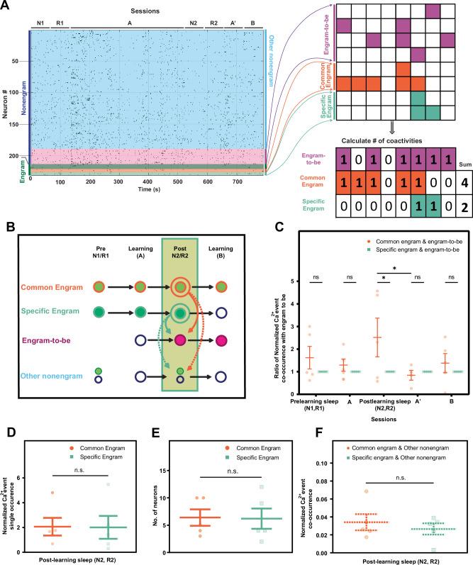 https://cdn.ncbi.nlm.nih.gov/pmc/blobs/356b/12037800/61fc1b9b0738/41467_2025_58860_Fig4_HTML.jpg