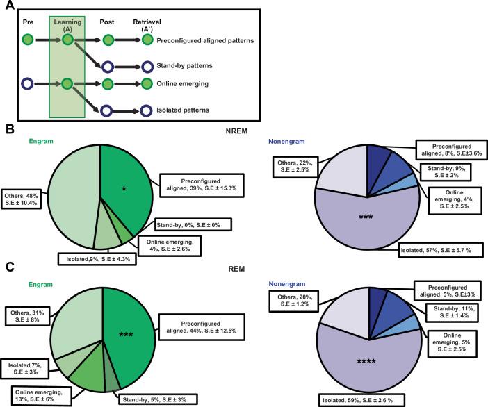 https://cdn.ncbi.nlm.nih.gov/pmc/blobs/356b/12037800/643604b0cca9/41467_2025_58860_Fig2_HTML.jpg