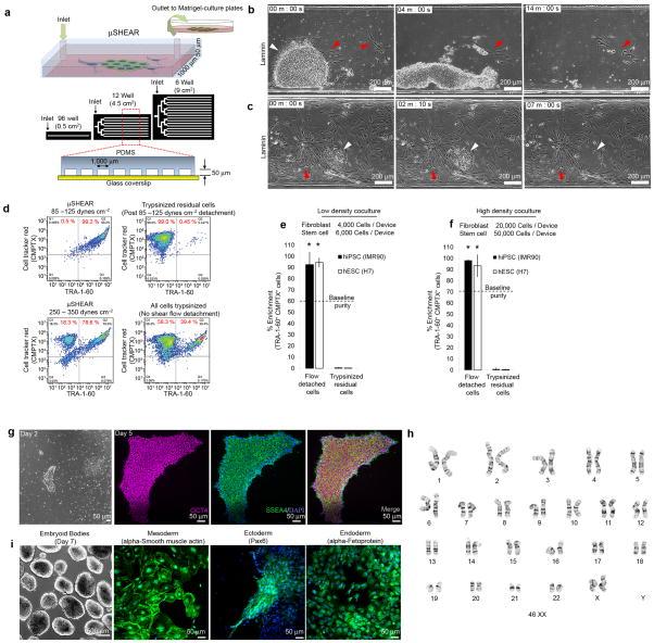 https://cdn.ncbi.nlm.nih.gov/pmc/blobs/356d/3641175/acb5c345e918/nihms456807f2.jpg