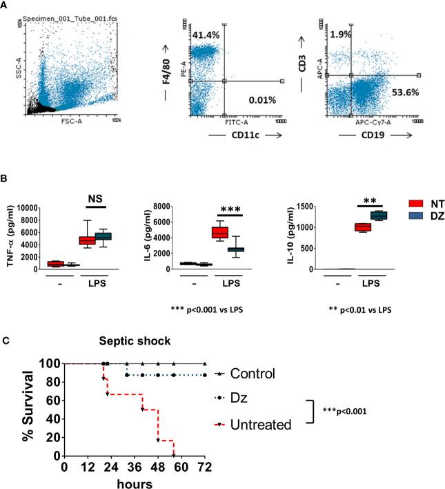 https://cdn.ncbi.nlm.nih.gov/pmc/blobs/356d/8329586/bd4d3f6b5577/fimmu-12-682612-g002.jpg