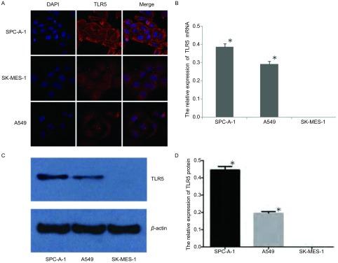 https://cdn.ncbi.nlm.nih.gov/pmc/blobs/356e/5999743/9060405b5de5/zgfazz-18-1-8-1.jpg