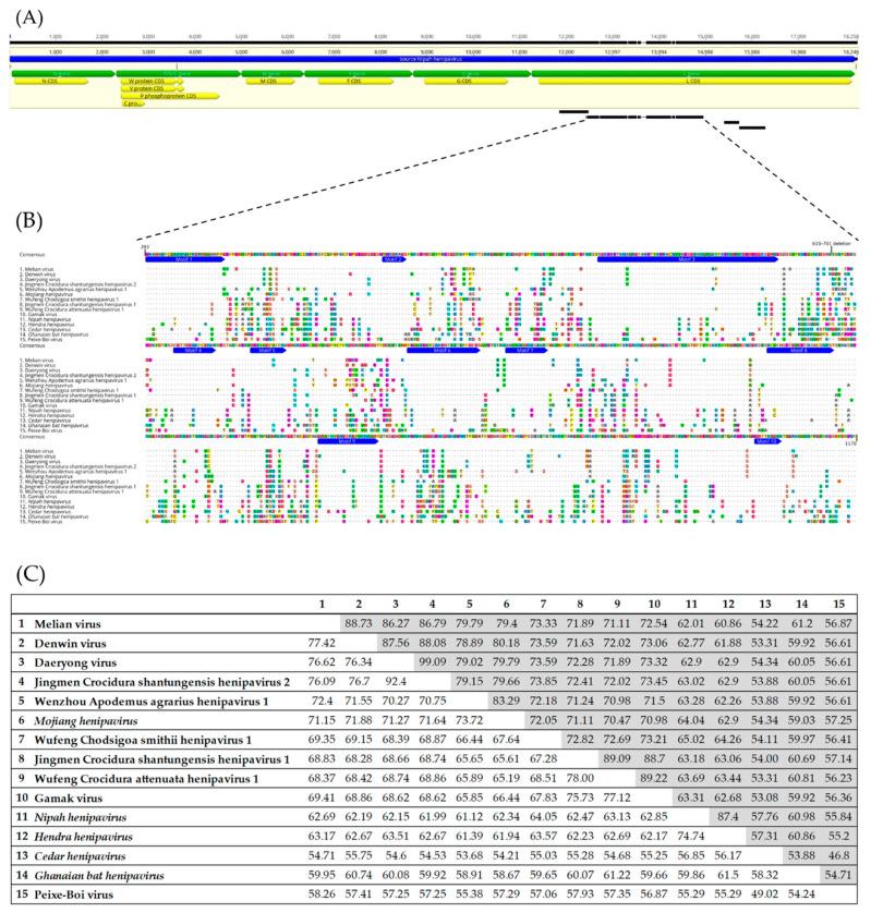 https://cdn.ncbi.nlm.nih.gov/pmc/blobs/356e/9608811/f9b936489af8/viruses-14-02167-g002.jpg