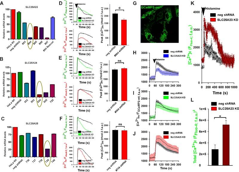 https://cdn.ncbi.nlm.nih.gov/pmc/blobs/3570/3952861/8eb7e147074b/936fig1.jpg
