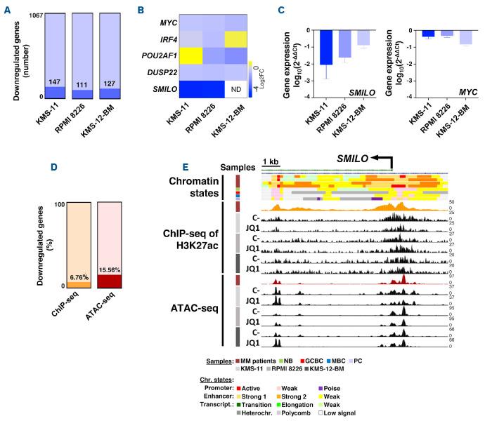 https://cdn.ncbi.nlm.nih.gov/pmc/blobs/3573/11788633/ff7a53b2763f/110514.fig1.jpg
