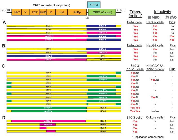 https://cdn.ncbi.nlm.nih.gov/pmc/blobs/3574/8157021/fb306c7e888f/viruses-13-00909-g002.jpg