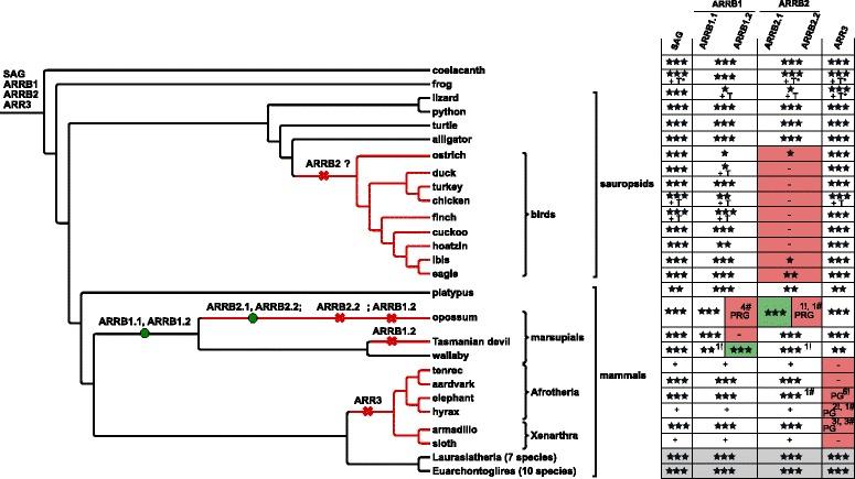 https://cdn.ncbi.nlm.nih.gov/pmc/blobs/3576/5501109/dc4fb5af25f3/12862_2017_1001_Fig8_HTML.jpg