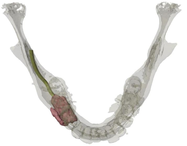 https://cdn.ncbi.nlm.nih.gov/pmc/blobs/3576/8304219/69bec1cc3c30/ijerph-18-07370-g002.jpg