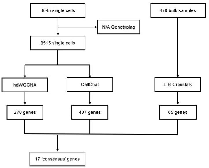 https://cdn.ncbi.nlm.nih.gov/pmc/blobs/3577/11720022/25989061c396/cancers-17-00148-g006.jpg