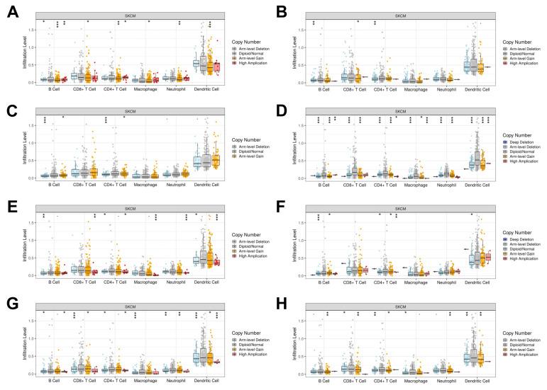https://cdn.ncbi.nlm.nih.gov/pmc/blobs/3577/11720022/26f43d4c7ddb/cancers-17-00148-g009.jpg