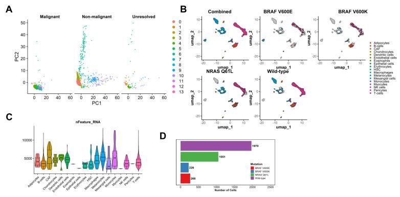 https://cdn.ncbi.nlm.nih.gov/pmc/blobs/3577/11720022/3344a042f000/cancers-17-00148-g001.jpg