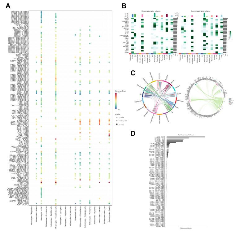 https://cdn.ncbi.nlm.nih.gov/pmc/blobs/3577/11720022/bda145ebdbcd/cancers-17-00148-g004.jpg