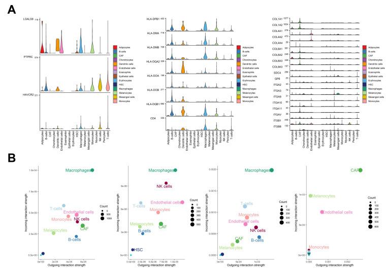https://cdn.ncbi.nlm.nih.gov/pmc/blobs/3577/11720022/e071cb2e4819/cancers-17-00148-g005.jpg