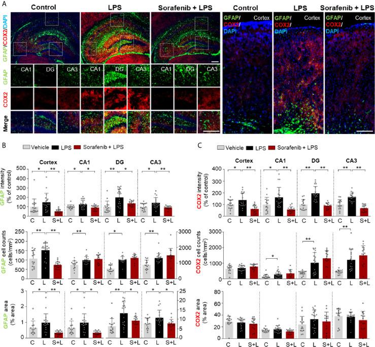 https://cdn.ncbi.nlm.nih.gov/pmc/blobs/3577/8190398/7aaad7d98533/fimmu-12-684344-g004.jpg